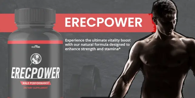  ErecPower works 